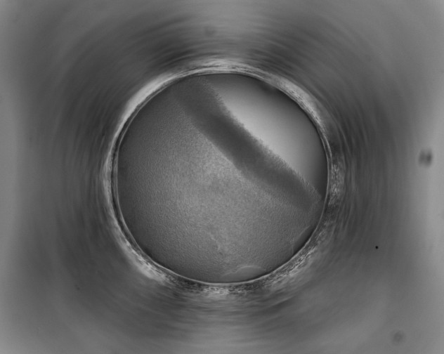 X0000101161098200806271003