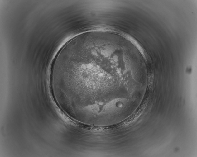 X0000101161099200806271003