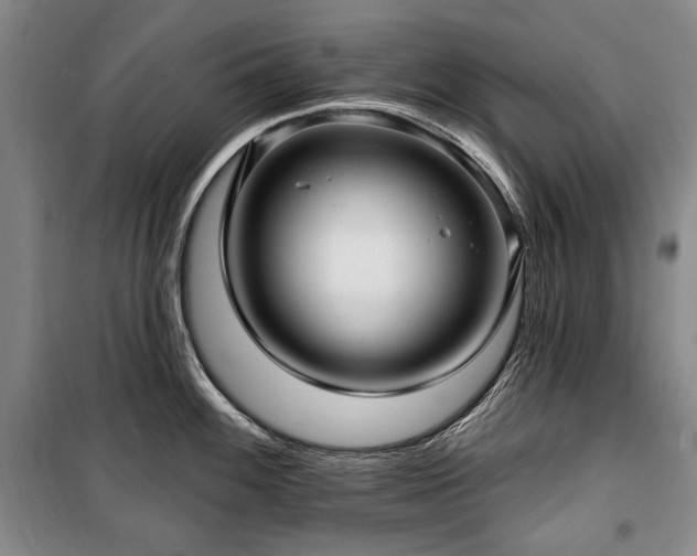 X0000101161100200806271003