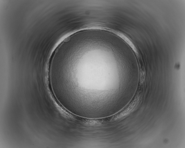 X0000101161101200806271003