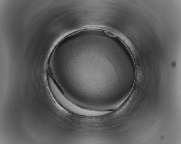 X0000101161102200806271003