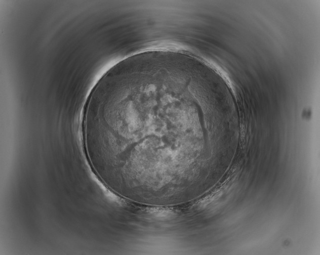 X0000101161103200806271003