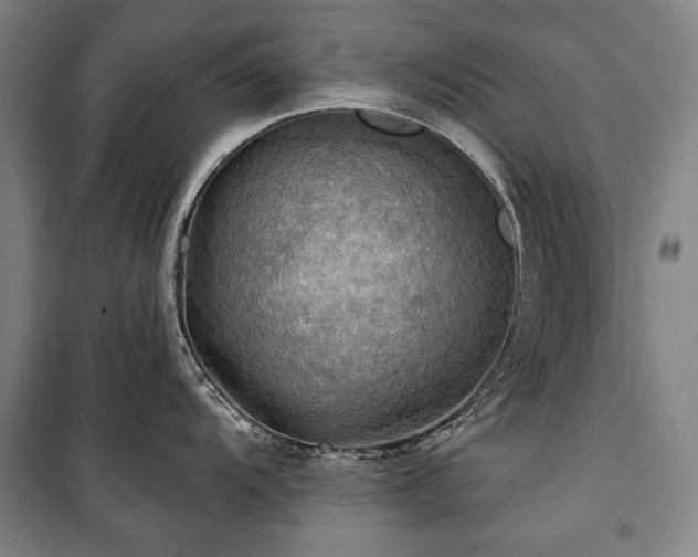X0000101161104200806271003