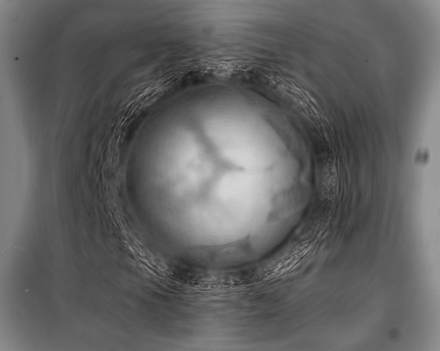 X0000101161105200806271003