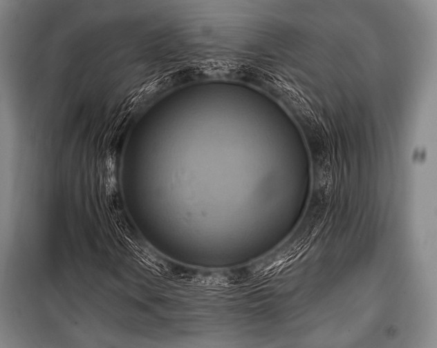 X0000101161106200806271003