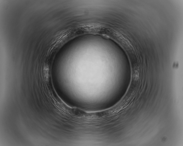 X0000101161108200806271003