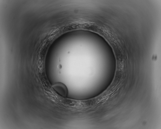 X0000101161109200806271003