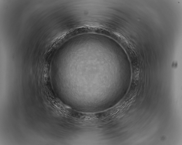 X0000101161110200806271003
