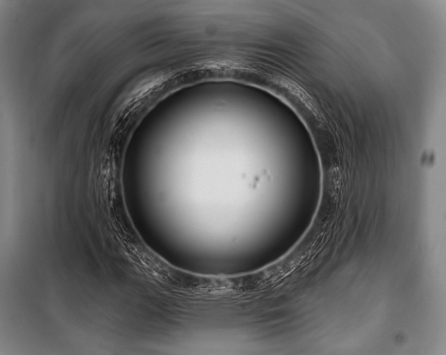 X0000101161111200806271003