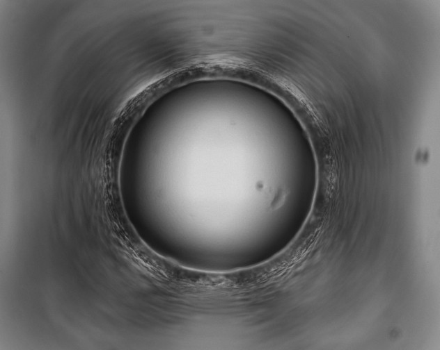 X0000101161112200806271003