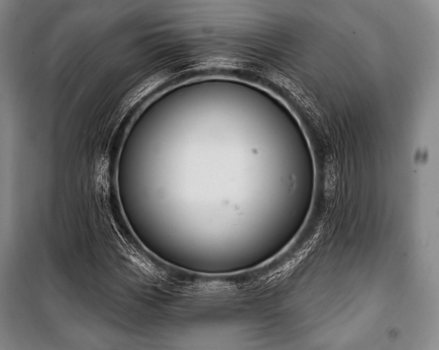 X0000101161113200806271003