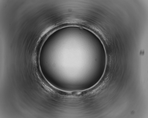 X0000101161114200806271003