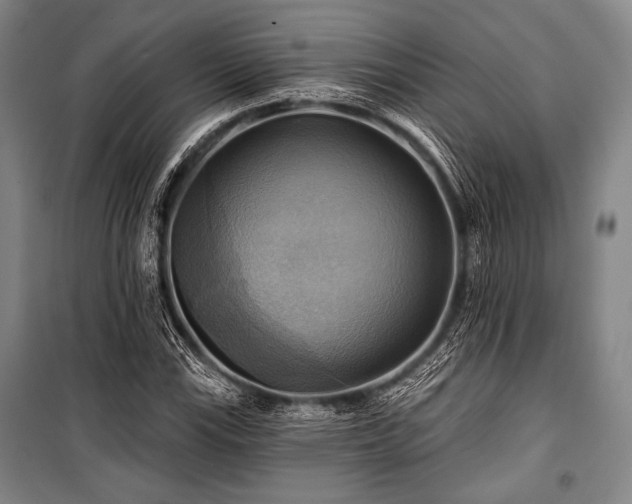 X0000101161115200806271003