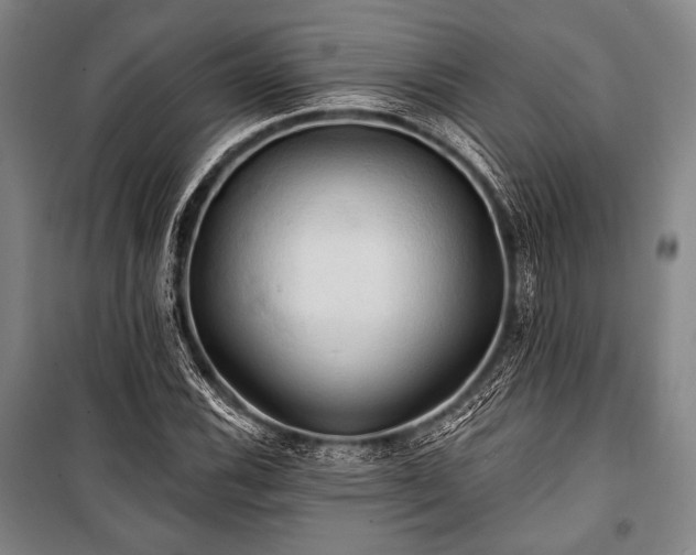 X0000101161116200806271003