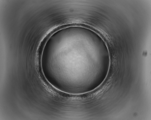 X0000101161118200806271003