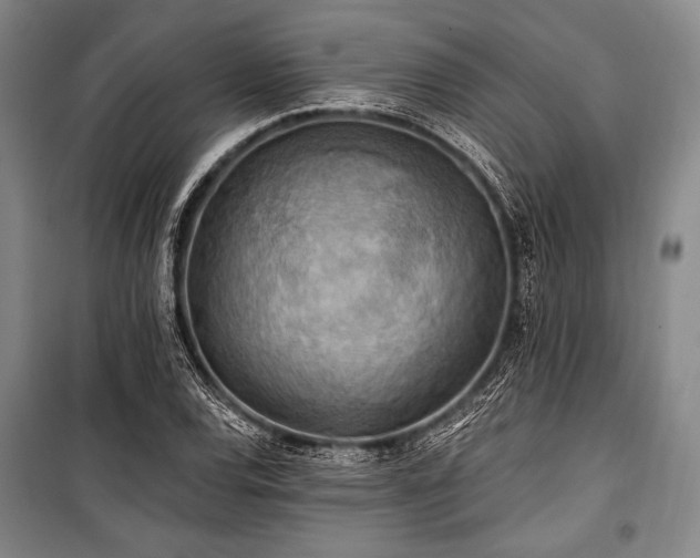 X0000101161120200806271003