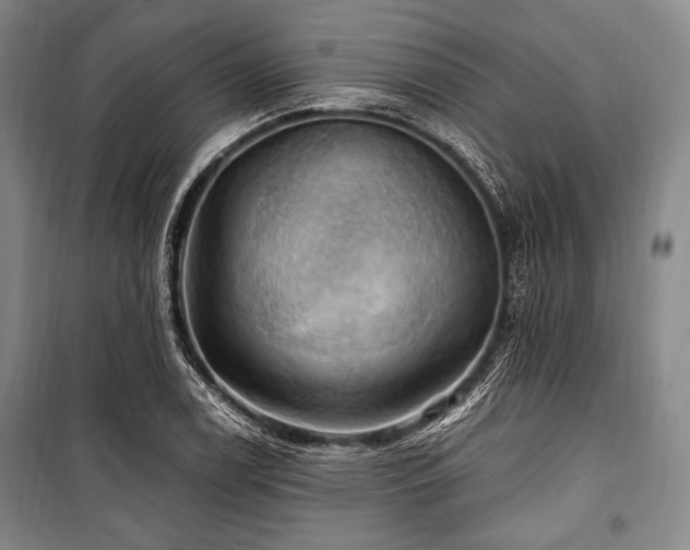 X0000101161122200806271003