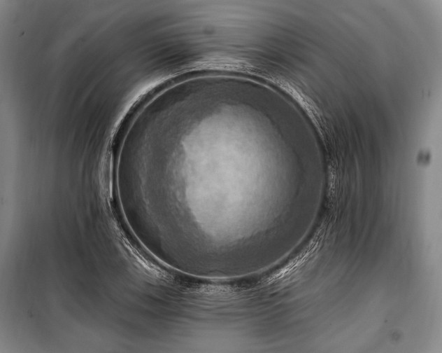 X0000101161123200806271003