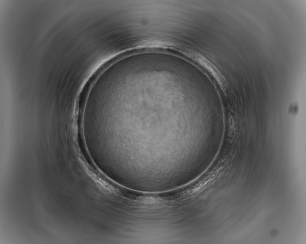 X0000101161124200806271003