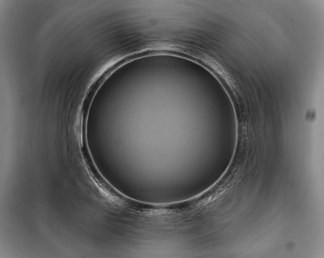 X0000101161127200806271003
