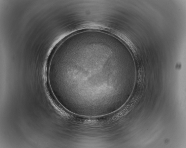 X0000101161128200806271003