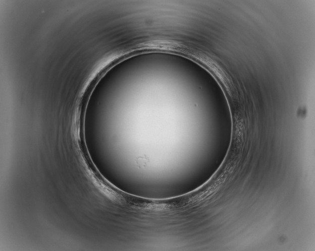 X0000101161131200806271003