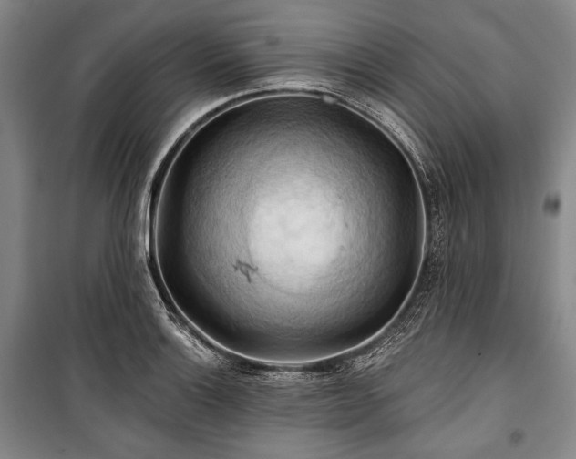X0000101161132200806271003