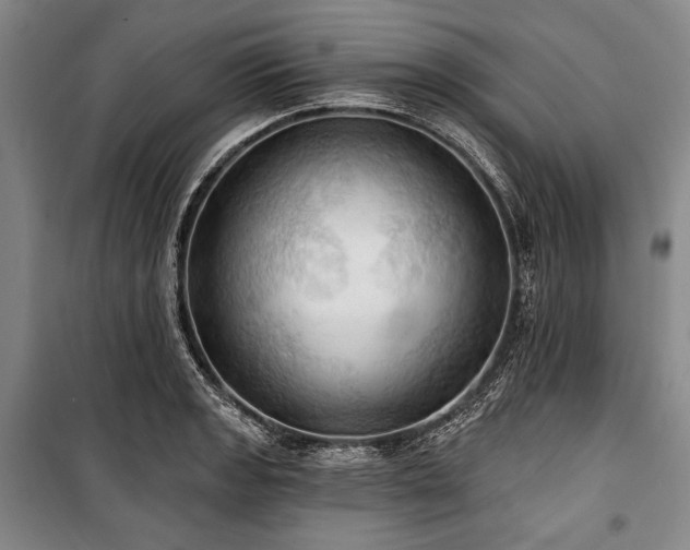 X0000101161133200806271003