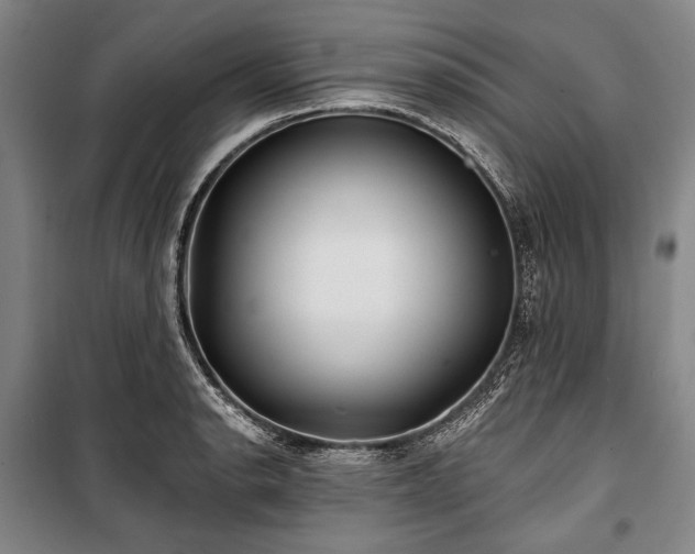 X0000101161134200806271003