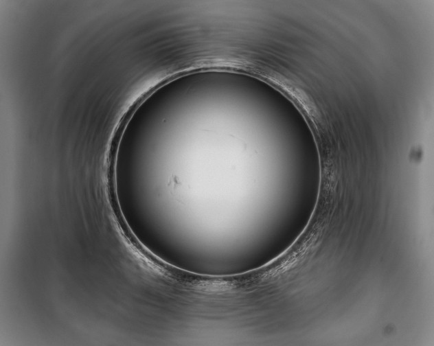 X0000101161135200806271003