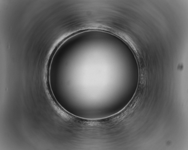 X0000101161136200806271003