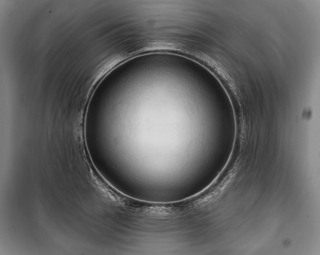 X0000101161137200806271003