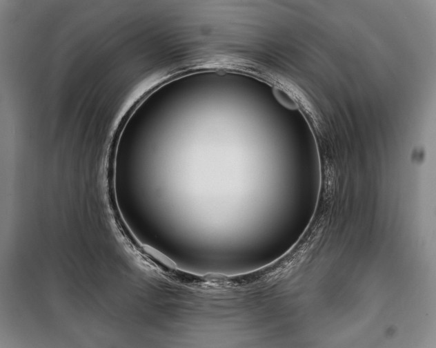 X0000101161138200806271003