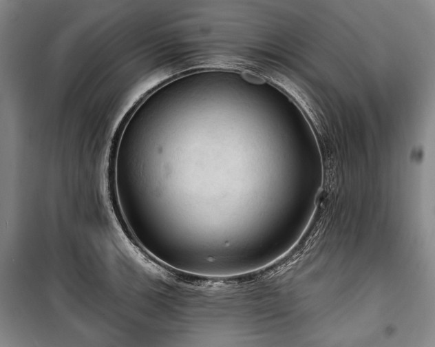 X0000101161139200806271003