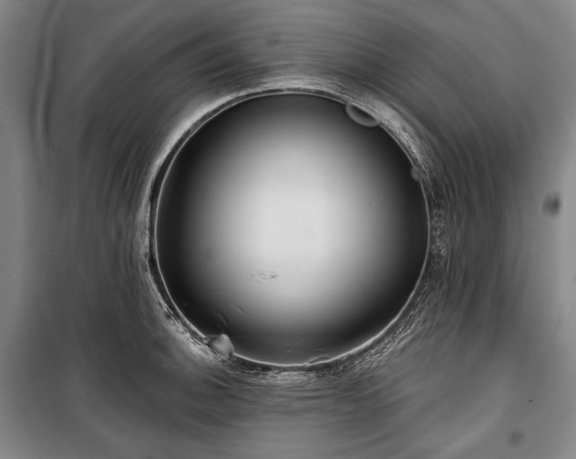 X0000101161140200806271003