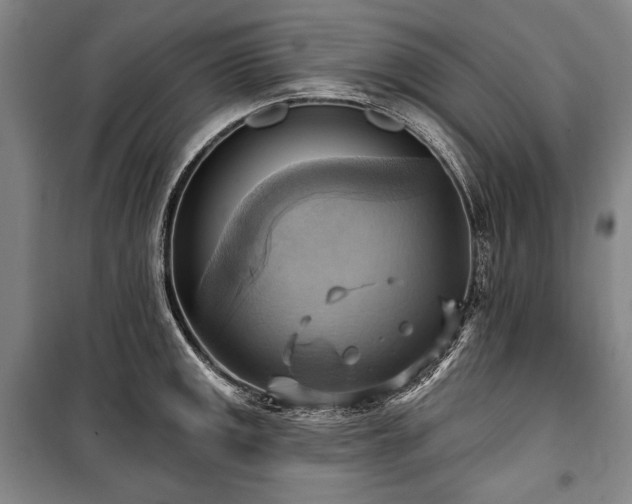 X0000101161141200806271003