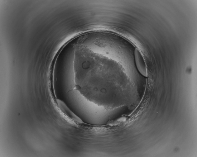 X0000101161142200806271003