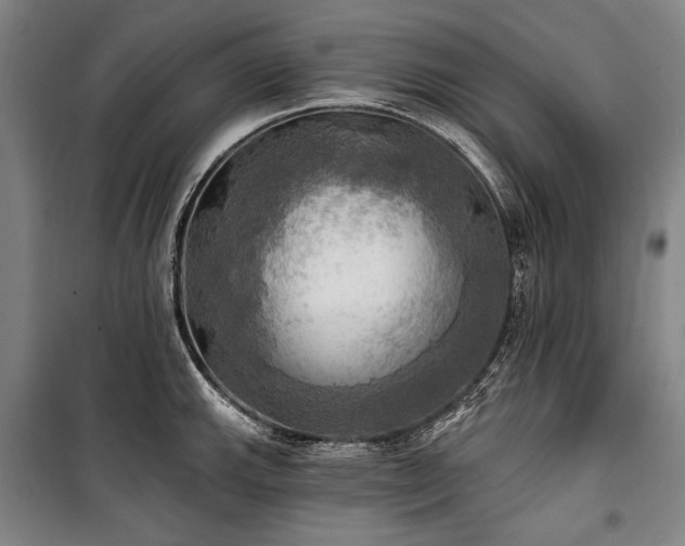 X0000101161143200806271003