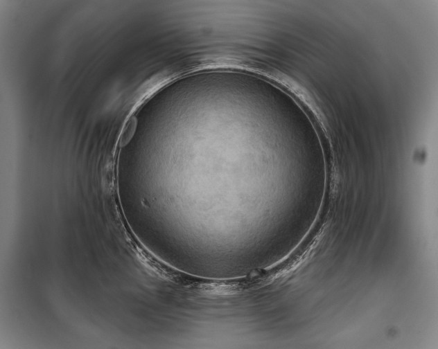 X0000101161145200806271003