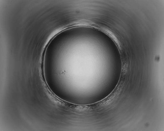 X0000101161146200806271003