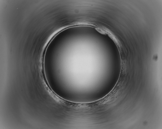 X0000101161148200806271003