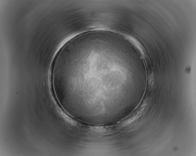 X0000101161149200806271003