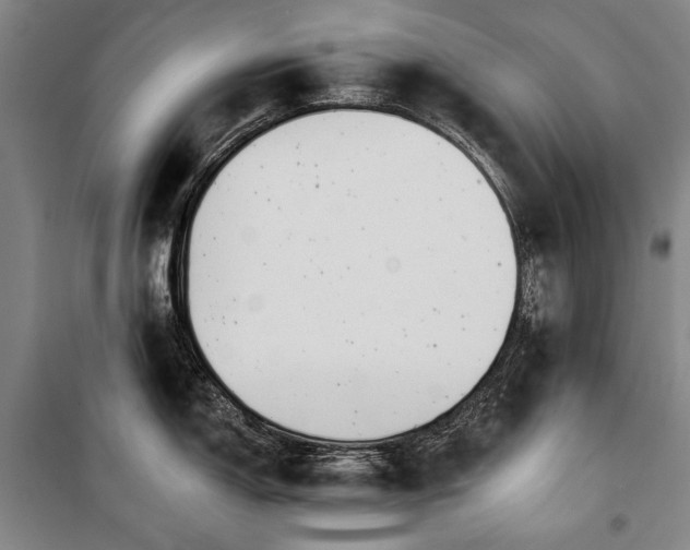 X0000101161150200806271003