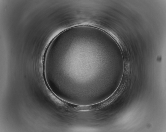 X0000101161151200806271003