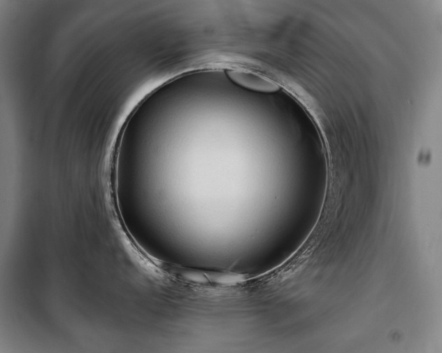 X0000101161152200806271003