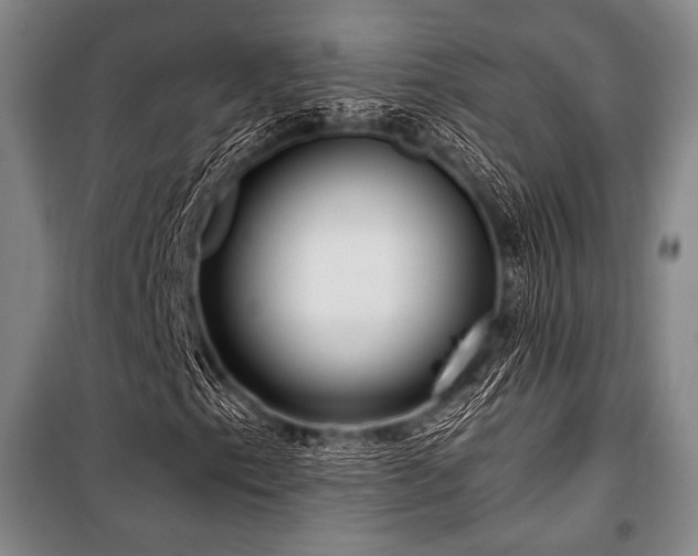 X0000101161153200806271003