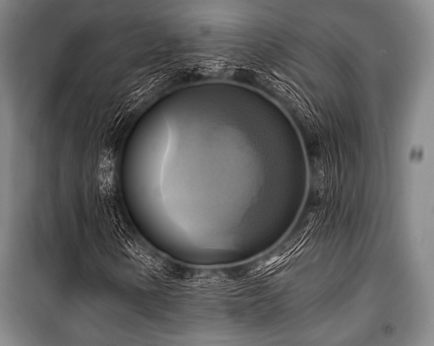 X0000101161154200806271003
