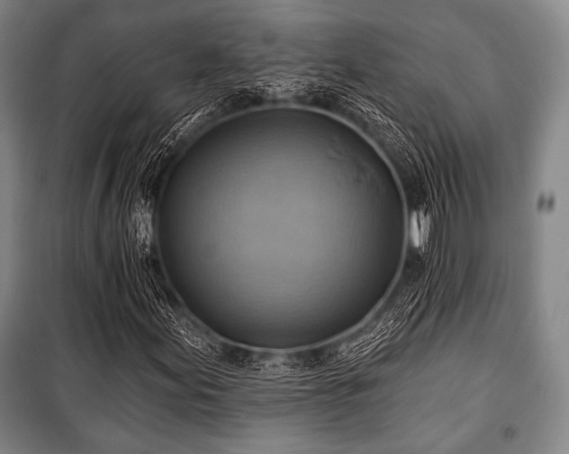 X0000101161155200806271003