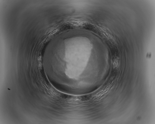 X0000101161156200806271003