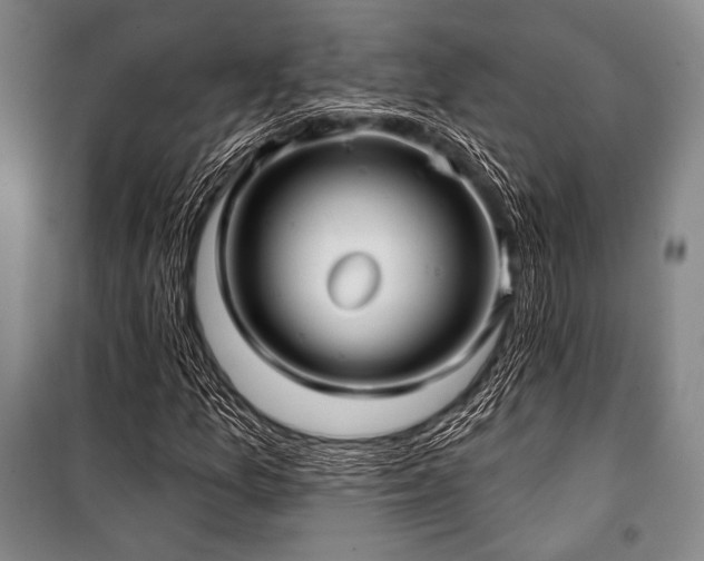 X0000101161157200806271003